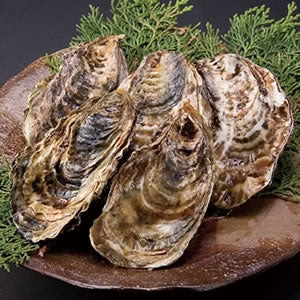 殻付き牡蠣 2年物 半缶 約5キロ(45~60個入り)