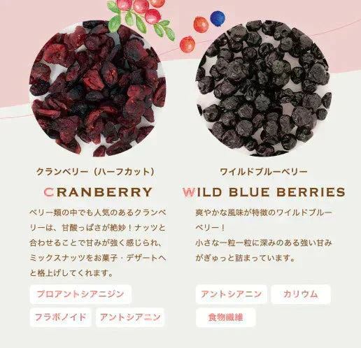 500g 2種のベリー入りミックスナッツ『ラッキーベリーナッツ 』 (250g×2)無塩 ナッツ くるみ カシューナッツ アーモンド クランベリー ワイルドブルーベリー 送料無料