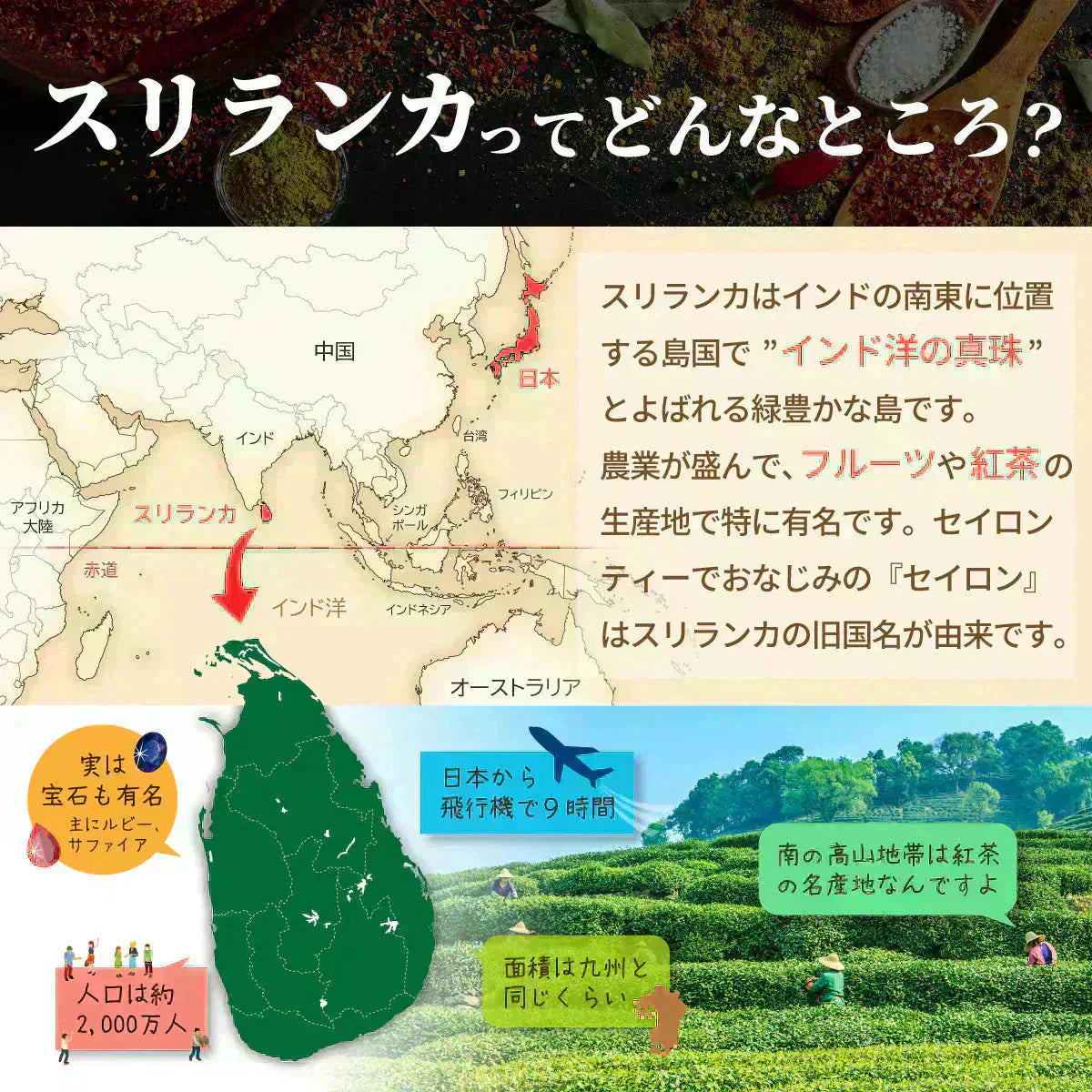 はちみつ紅茶 蜂蜜 紅茶 スリランカ ハニーティー ティーバッグ 30包 セイロンティー ギフト おしゃれ カフェ セイロンファミリー JB