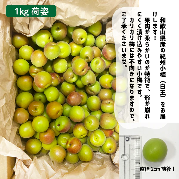 和歌山県産 小梅 2Lサイズ以上 約1kg 梅干し 紀州 白王 紀州 こうめ