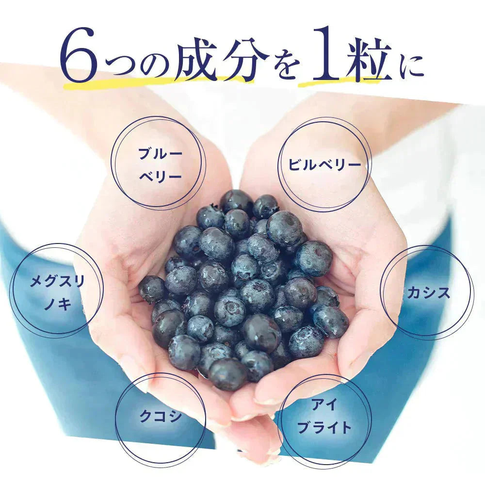 ブルーベリー《約12ヶ月分》 送料無料 サプリ サプリメント 健康 ブルーベリー ビルベリー メグスリノキ カシス クコシ アイブライト ビタミン アイケア【大容量】