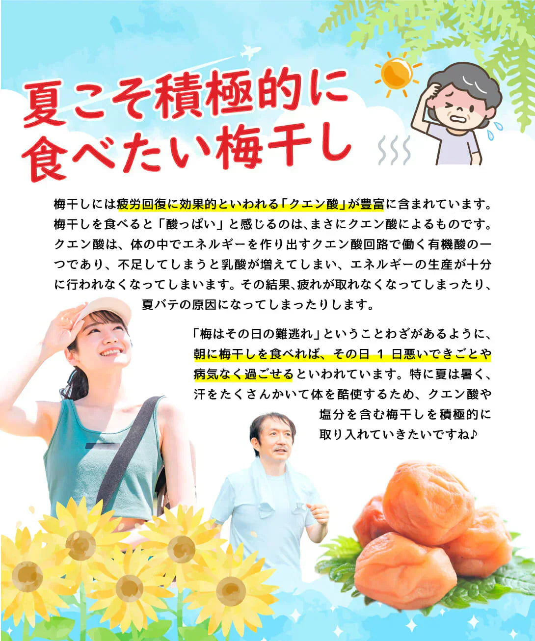 紀州南高梅のはちみつ梅干し つぶれ梅 200g×2パック