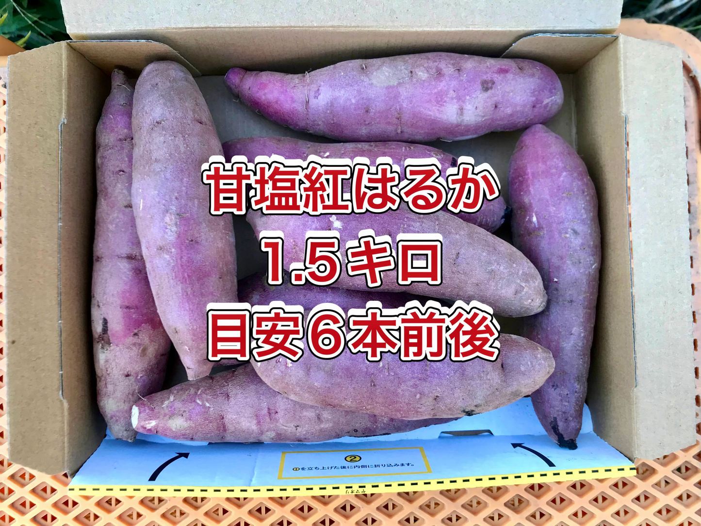 【鹿児島産】甘塩野菜セット4品目^_^
