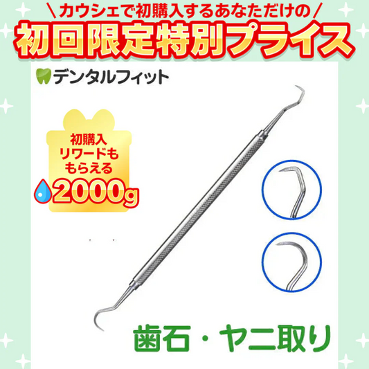 両頭鎌型スケーラー H5-33 1本【歯石取り 歯垢取り ヤニ取り】【ご新規さん限定商品】【メール便送料無料】