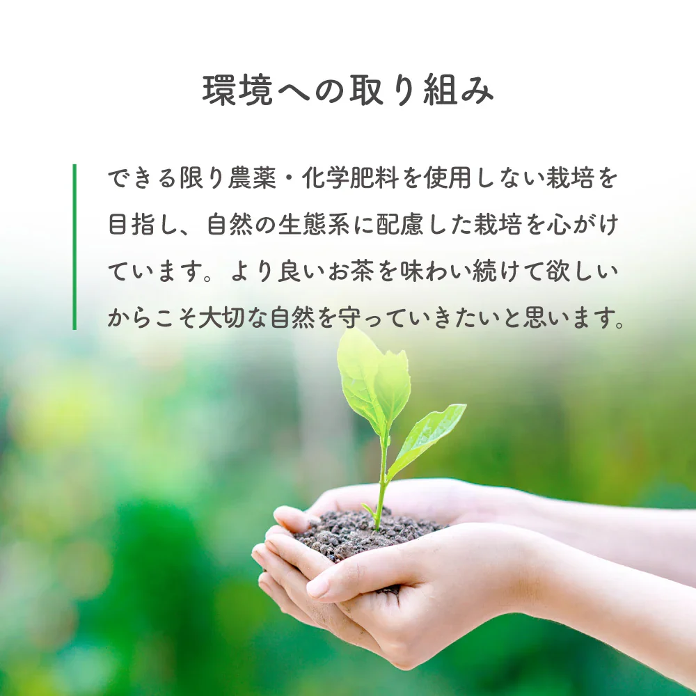 鬼棒ほうじ茶 ティーバッグ 40個入 ノンカフェイン ほうじ茶 お茶 ティーパック 棒茶 棒ほうじ茶 カフェインフリー 静岡 静岡茶 ノンカフェイン カフェインレス カフェインゼロ 送料無料 ほうじ 国産