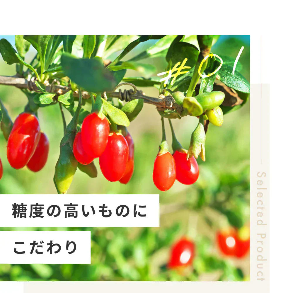 GreenDish 有機クコの実 80g 無農薬 スーパーフード | オーガライフ