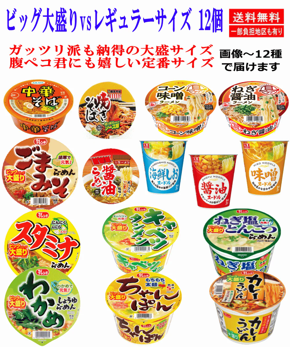 【カップ麺】腹ペコ君にピッタリ!ビッグサイズと定番レギュラーサイズ カップ麺 アソート12個 関東圏送料無料