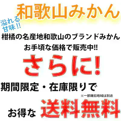 (11月上旬発送予定商品) みかん 2キロ 和歌山県 有田産 有田みかん