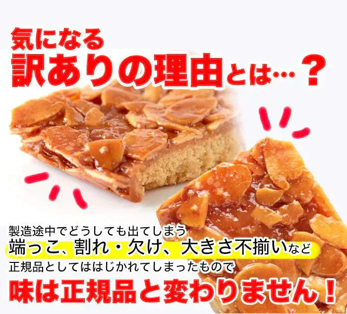 フロランタン6個 絶品 フロランタン6個入り ボリュームたっぷり