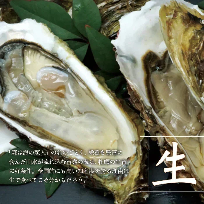【生食OK】三陸産 殻付き 生牡蠣 3kg 今季初出し 希少 数量限定 新鮮 宮城 石巻 鉄分 ミネラル豊富 希少 貝 魚介類 かき 栄養 海の幸