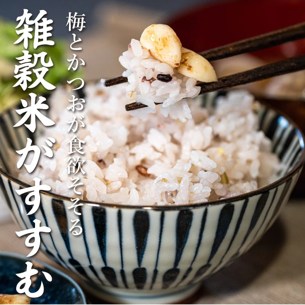 梅にんにく 100g お試し 元気の源 梅ニンニク にんにく 大蒜 梅 ウメ 梅鰹