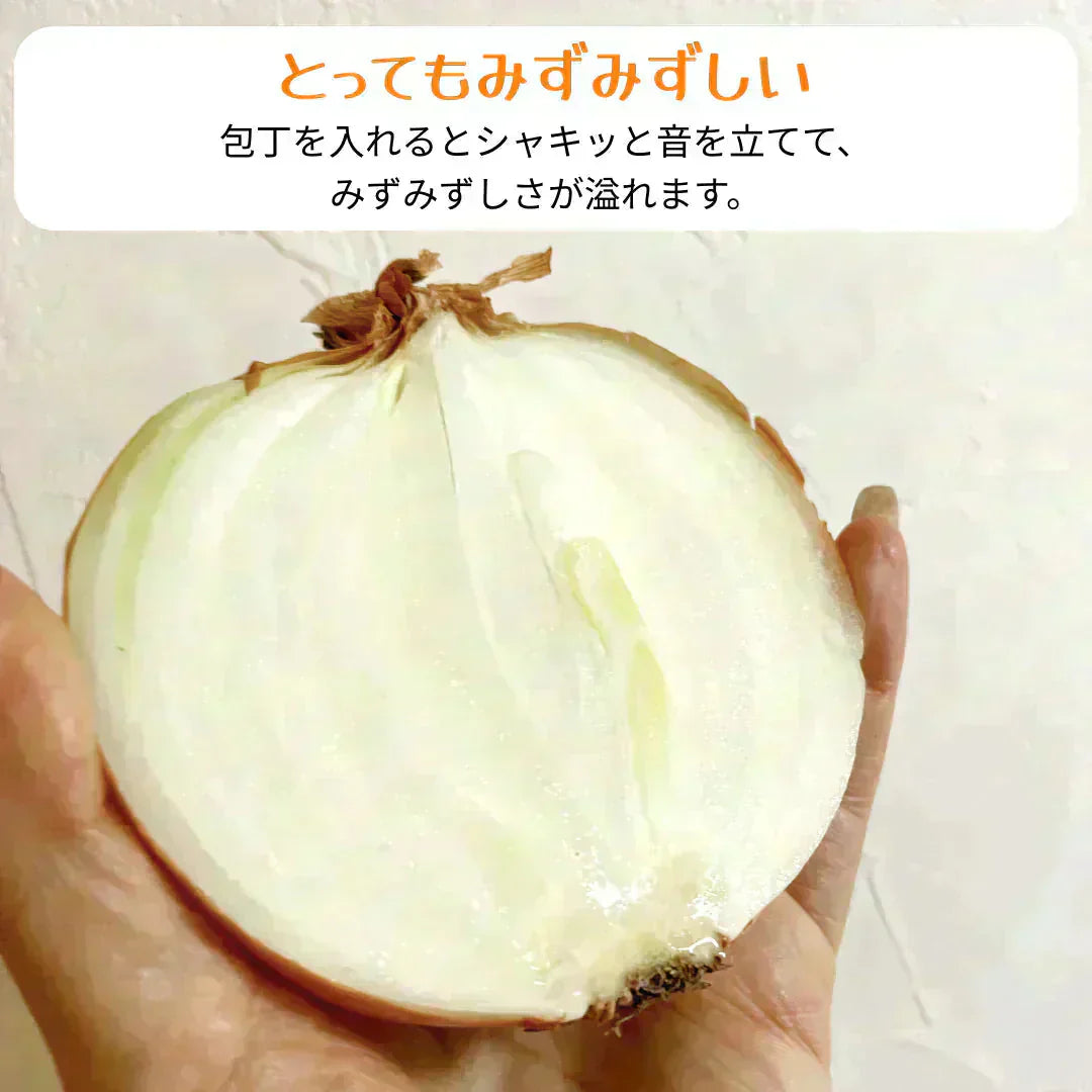 【北海道〜関西まで(東日本限定配送)】つやつやたまねぎ 1.5kg(1kg+補償分500g) 有名ホテルや大手チェーン店も御用達 玉ねぎ 玉葱 野菜 青果 農家【カウシェファーム収穫対象商品】