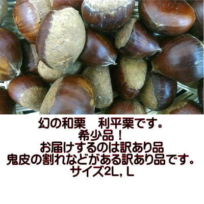 利平栗 訳あり 1箱(2kg) 2L,Lサイズ 熊本産 クール便 【9月下旬以降順次発送予定】60サイズ