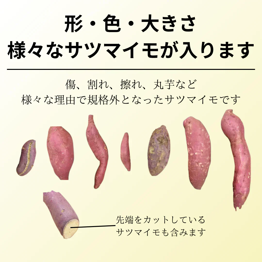 【焼き芋屋が厳選◎】 紅はるか 訳あり 2kg(1.5kg+補償分500g) さつまいも シルクスイート サツマイモ 干し芋 好きに 青果 野菜 市場 食品 グルメ スイーツ 甘味