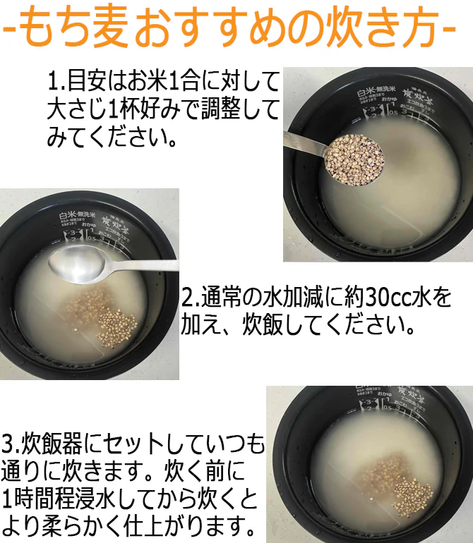 もち麦 国産 もちむぎ 独自の8分搗き 軽押製法による美味 雑穀米 300g 無添加