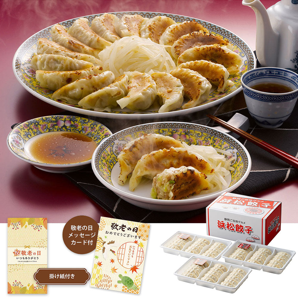 【敬老の日2024】浜松餃子 HG-30TN 1988-851 中華惣菜 ぎょうざ【送料込み】【お届け不可地域:北海道・沖縄・離島】【お届け日時指定不可】