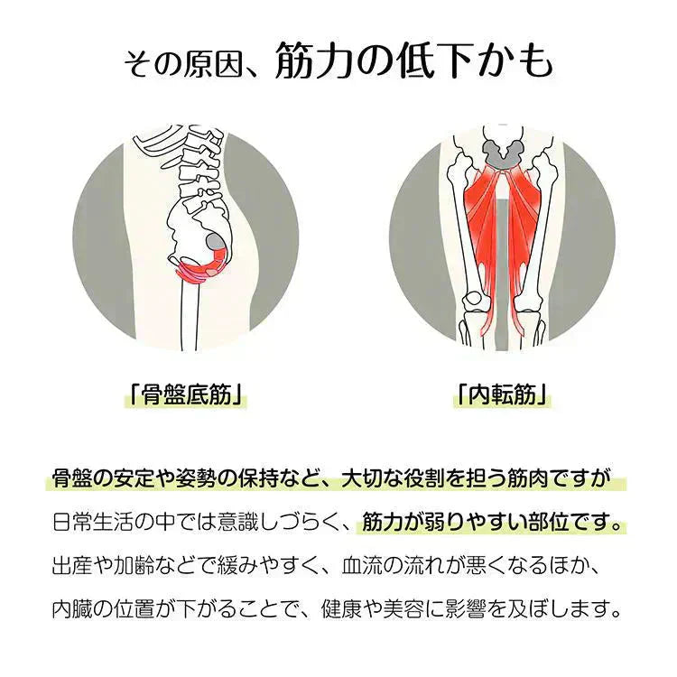 1ヒップトレーナー 「グリーン」 ヒップアップ 美尻シェイパー 内転筋トレーニング 骨盤底筋 エクササイズ 太もも ヨガ 産後ダイエット 運動器具 筋トレ 骨盤引き締め 姿勢矯正