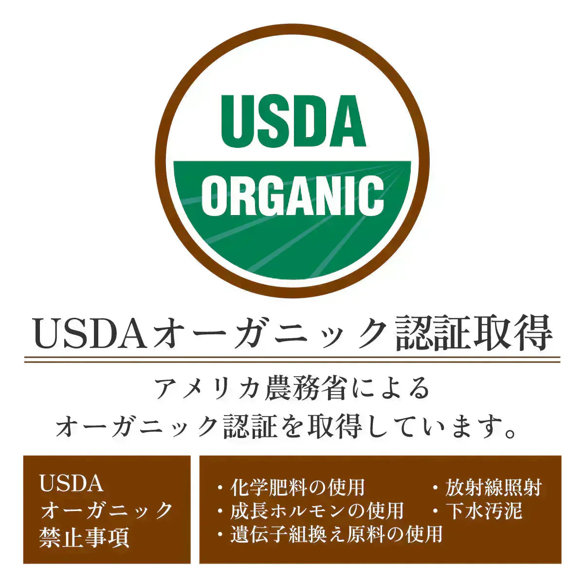 セイロンシナモン シナモンパウダー セイロンシナモンパウダー 粉末 オーガニック セイロン シナモン 100% 有機 スリランカ 桂皮 肉桂 高級 100g 有機JAS認定 無添加 無農薬 スーパーフード 美容 健康 はちみつシナモン スパイス 香辛料 業務用