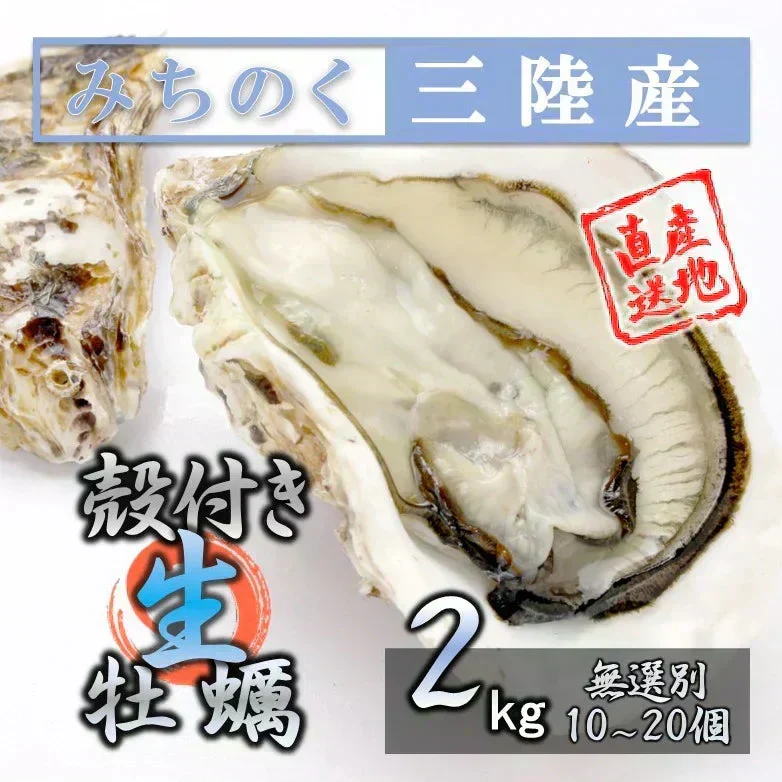 【生食OK】三陸産 殻付き 生牡蠣 2kg 今季初出し 希少 数量限定 新鮮 宮城 石巻 鉄分 ミネラル豊富 希少 貝 魚介類 かき 栄養 海の幸