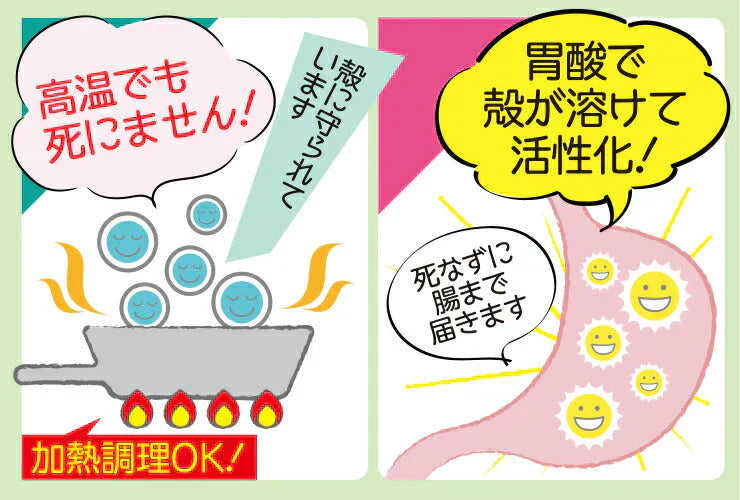500g 水溶性食物繊維+生きてる乳酸菌パウダー