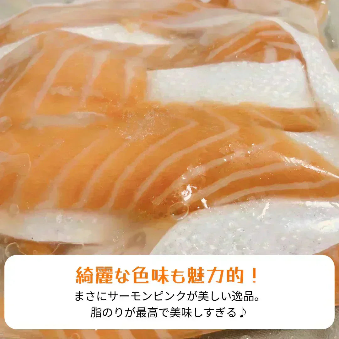 ノルウェー産「アトランティックサーモン 大トロ ハラス」1kg(500g×2p) サーモン ハラス 鮭 しゃけ マグロ 大トロ 豊洲 市場 魚