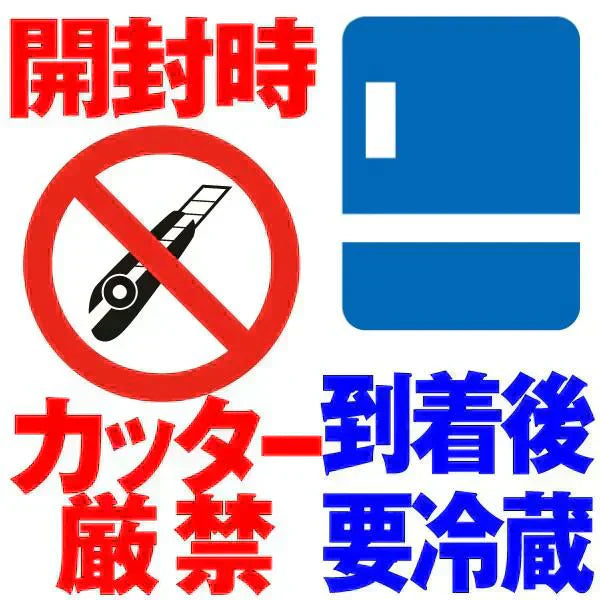 本ちゃん塩数の子 折れ子 500g 【2025年11月下旬より発送】