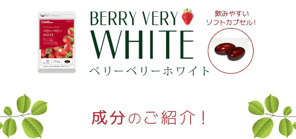 ベリーベリーホワイト《約3ヶ月分》透き通るほどのみずみずしさを♪ナイアシン サプリ アスコルビン酸 シスチン 真っ赤ないちごのポリフェノールを配合した、真っ白な美容ケアサプリです♪ 送料無料 サプリメント 健康 美容  ポリフェノール ビタミンc
