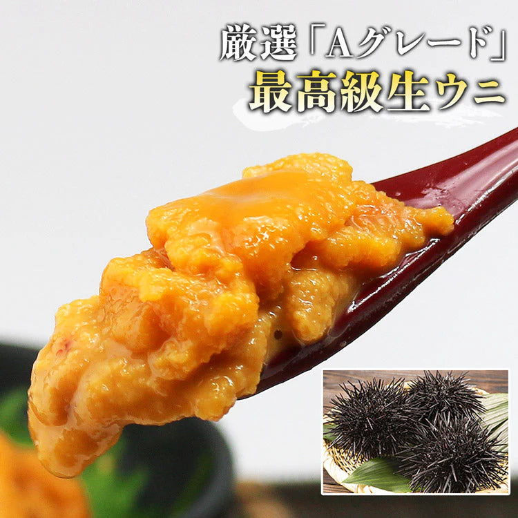 生うに 100g×3パック 完全無添加 みょうばん不使用 お刺身用 生 AAグレード ウニ うに 雲丹 冷凍 送料無料 冷凍便 お取り寄せグルメ 食品 ギフト