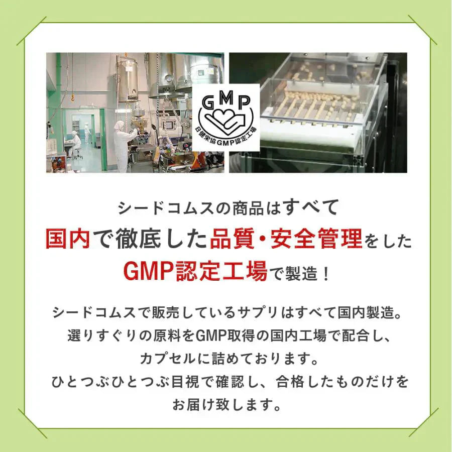 まいにち酵素《約3ヶ月分》野草 果実 海藻 キノコ 豆類を使用 送料無料 酵素サプリ