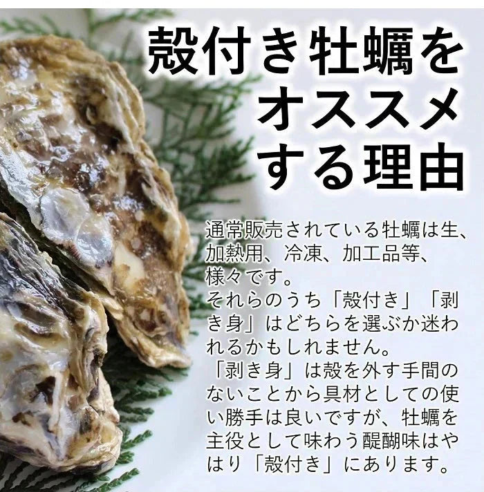 【生食OK】三陸産 殻付き 生牡蠣 3kg 今季初出し 希少 数量限定 新鮮 宮城 石巻 鉄分 ミネラル豊富 希少 貝 魚介類 かき 栄養 海の幸