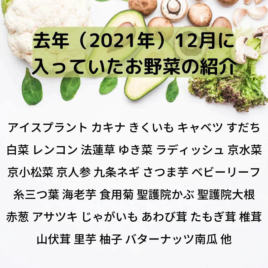 【大田市場直送】全国から仕入れるこだわった野菜セット!おまかせ 15品詰め合わせ!【送料無料】