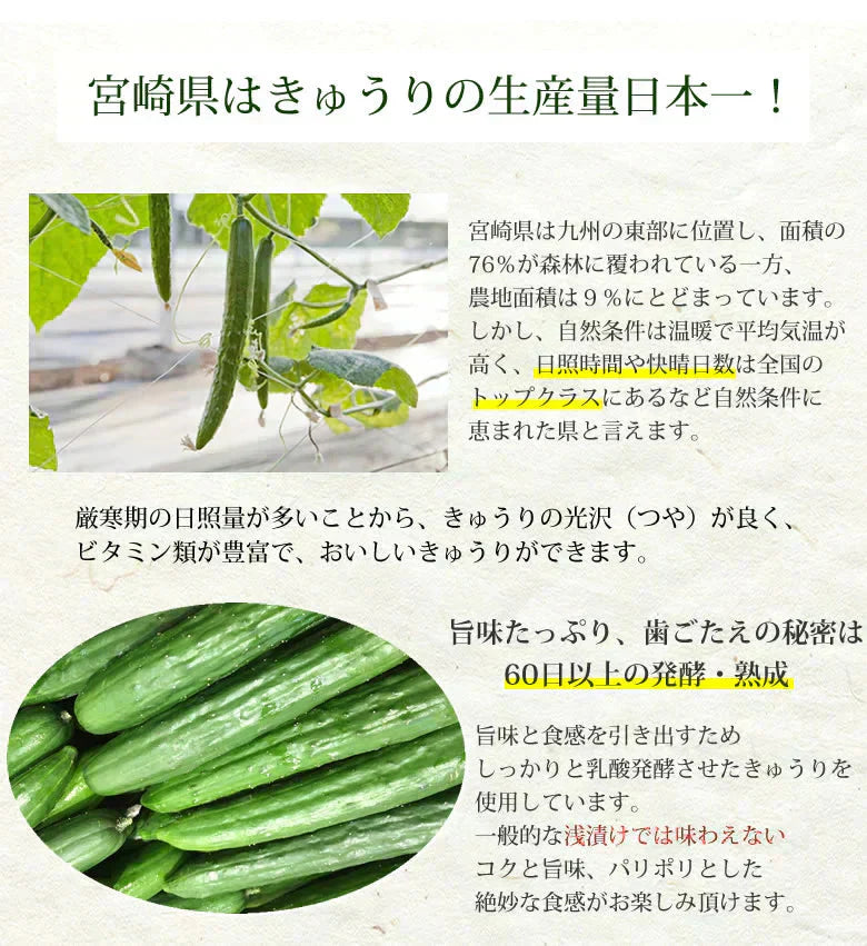 漬物 きゅうり醤油漬 無添加 400g(100g×4袋) 送料無料 九州醤油仕立て ポッキリ お試し 宮崎県産 お取り寄せ きゅうり つけもの【プチプラ特集】