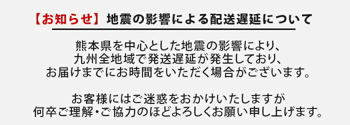 エプソムソルト (10kg) 無香料 浴用化粧料 硫酸マグネシウム 計量スプーン付き BASSPA バスパ