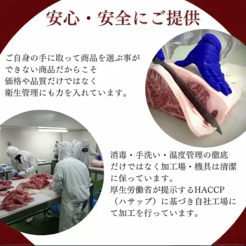 A4・A5ランク黒毛和牛すじ&国産牛ホルモンセット 1.1kg