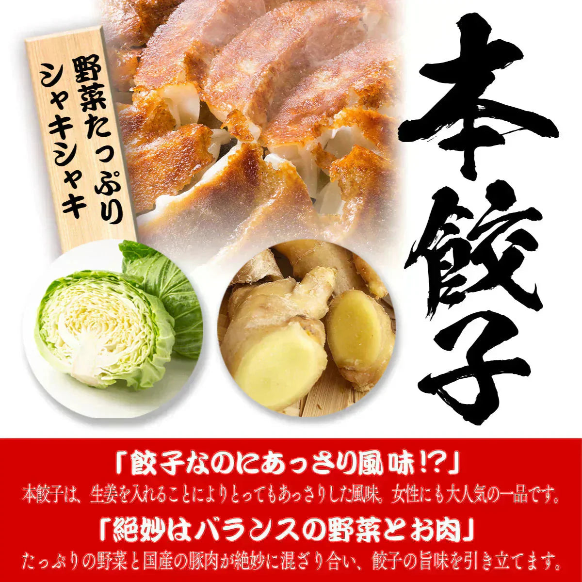 メガ盛り!本餃子96個入