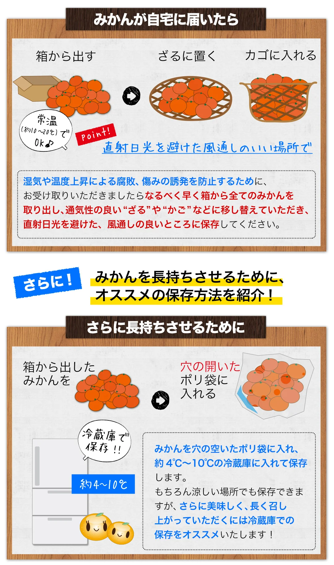 【大容量】熊本県産 訳あり 小玉 みかん 9kg 熊本 送料無料 小玉みかん ミカン フルーツ お取り寄せ 柑橘 フルーツ 果物 《9月中旬-10月中旬頃より発送予定》