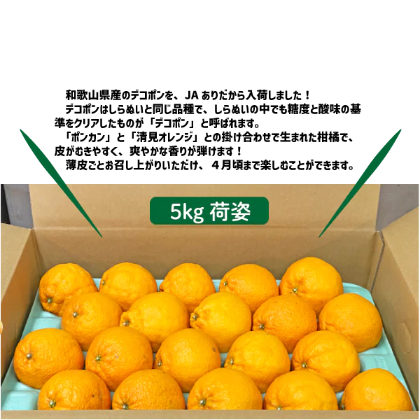 和歌山県産 デコポン 約5kg 和歌山 でこぽん 凸ポン しらぬい 不知火 ギフト 自宅用 贈答 柑橘 ありだ