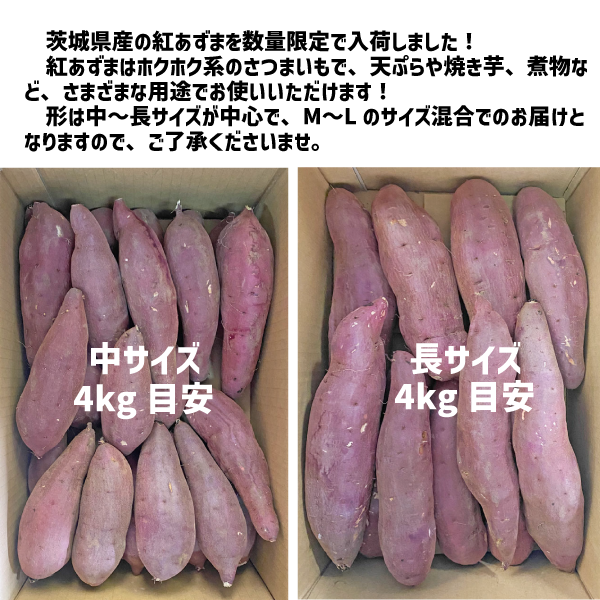 茨城県産 紅あずま 約8kg M〜Lサイズ 中長規格 さつまいも サツマイモ 焼き芋 国産 さつま芋 ベニアズマ
