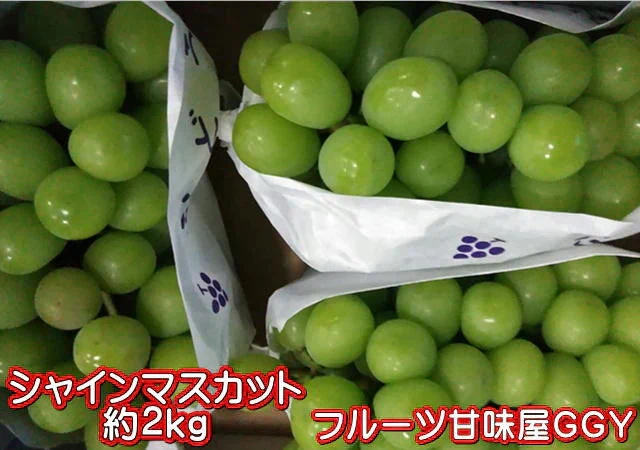 【クール便発送】シャインマスカット 約2kg(2〜6房) 熊本産・福岡・大分産 80サイズ