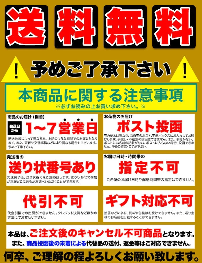 ゴロッと 玉ねぎ と骨付き チキン の スープカレー【1人前 260g×2袋】富良野市場/ネコポス