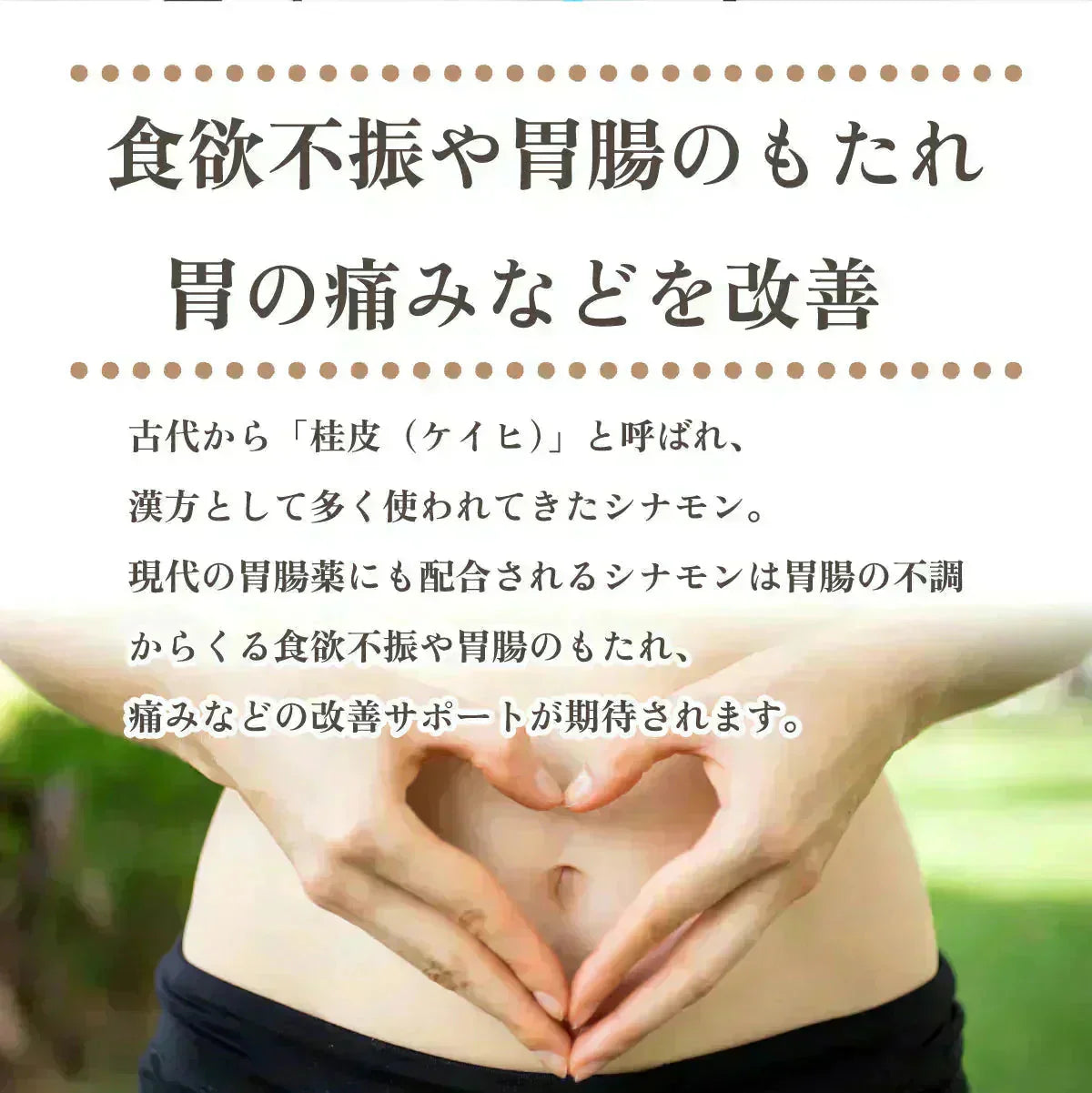 セイロンシナモン シナモンパウダー セイロンシナモンパウダー 粉末 オーガニック セイロン シナモン 100% 有機 スリランカ 桂皮 肉桂 高級 100g 有機JAS認定 無添加 無農薬 スーパーフード 美容 健康 はちみつシナモン スパイス 香辛料 業務用