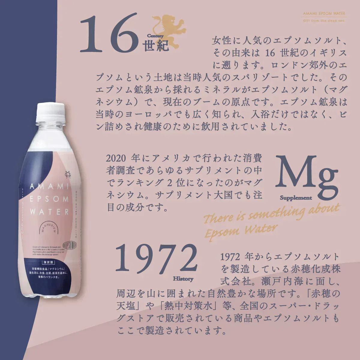 美と健康の炭酸水 エプソムウォーター 500ml 24本