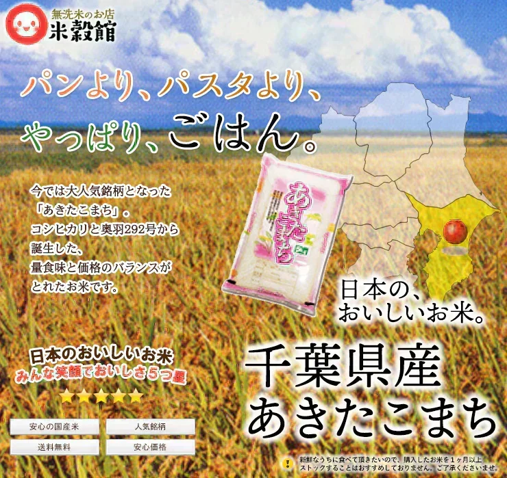 【令和7年産】秋田小町 10kg 5kg×2 送料無料 研ぐお米 千葉県産あきたこまち 大人気銘柄
