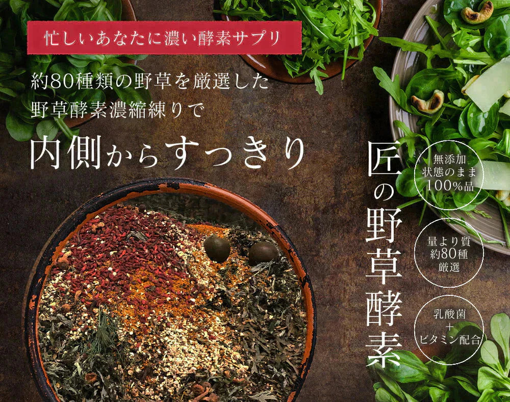 匠の野草酵素《約3ヶ月分》 送料無料 サプリ サプリメント 酵素 野草酵素 健康 スーパーフード 健康食品 野菜不足 乳酸菌 ダイエット 美容 ビタミン ビタミンC【大容量】
