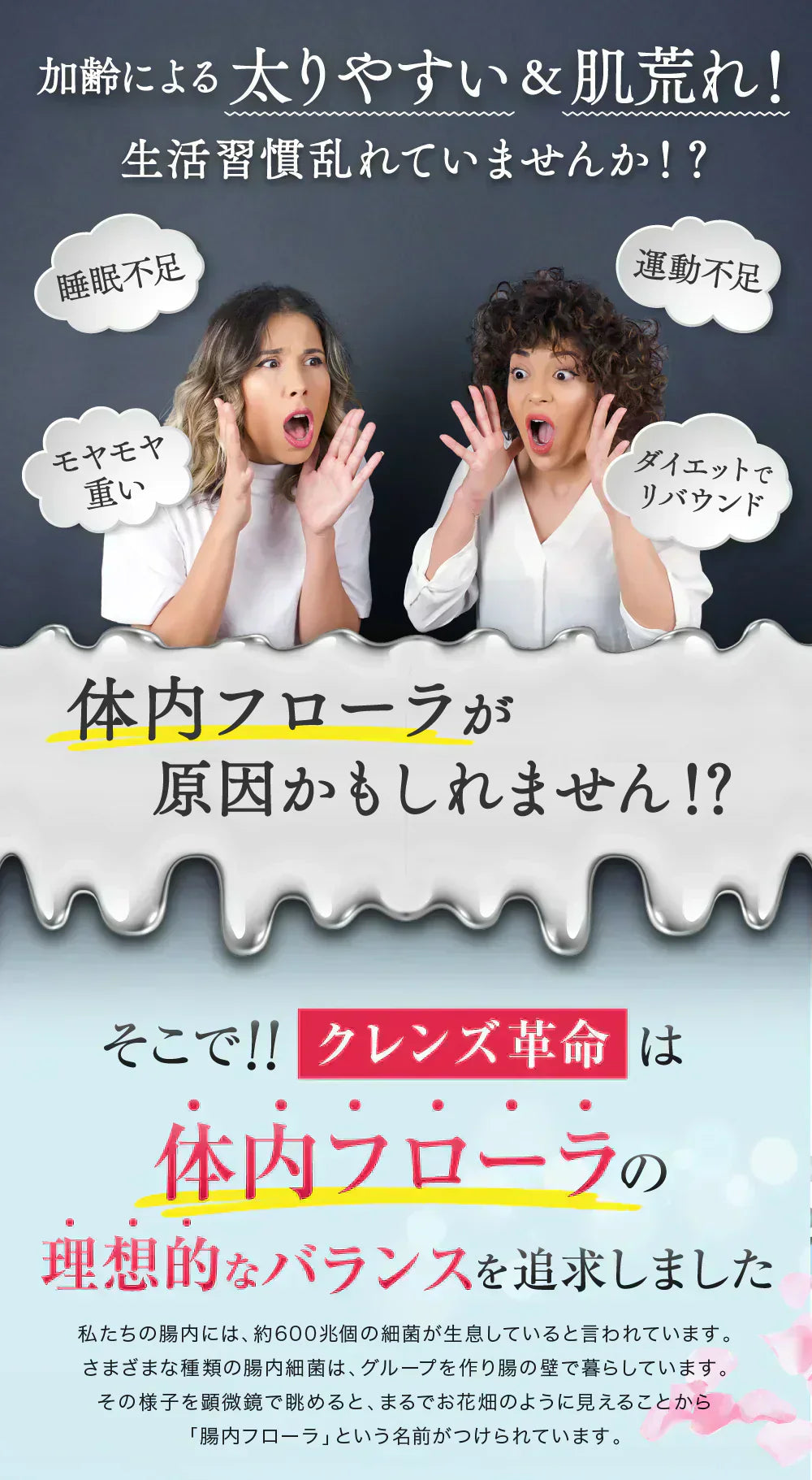 【クレンズ革命 ・お得3ヶ月分】5兆個 善玉菌のチカラ 内側から スッキリ 腸活 ダイエットサプリ 腸内フローラ 納豆菌 乳酸菌 菌活 悪玉菌 ガセリ ビフィズス菌 カルニチン プロバイオティクス デトックス クレンズサプリメント ガセリ菌 悪玉菌 国産 お腹スッキリ 乳酸菌サプリ 酪酸菌 納豆菌 ナットウキナーゼ ビフィズス菌 おすすめ 人気 ランキング 効果 強力 最強 通販 日本製 国産