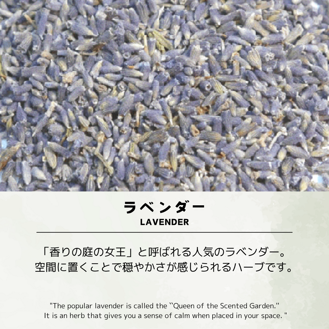 ラベンダー茶/約65杯/大容量でお得/ノンカフェイン/国内製造/無香料・無着色/ハーブティー/お茶