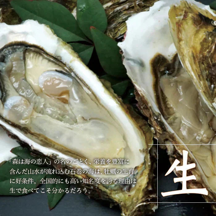 【生食OK】三陸産 殻付き 生牡蠣 3kg 今季初出し 希少 数量限定 新鮮 宮城 石巻 鉄分 ミネラル豊富 希少 貝 魚介類 かき 栄養 海の幸