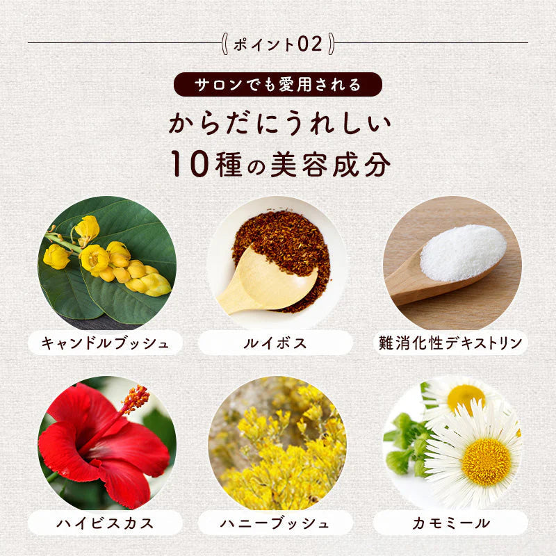 スルーリ茶DX 120g ダイエット茶 ダイエットティー キャンドルブッシュゴールデンキャンドル 健康茶 ハーブティー お茶 ティーバッグ スッキリ 大容量