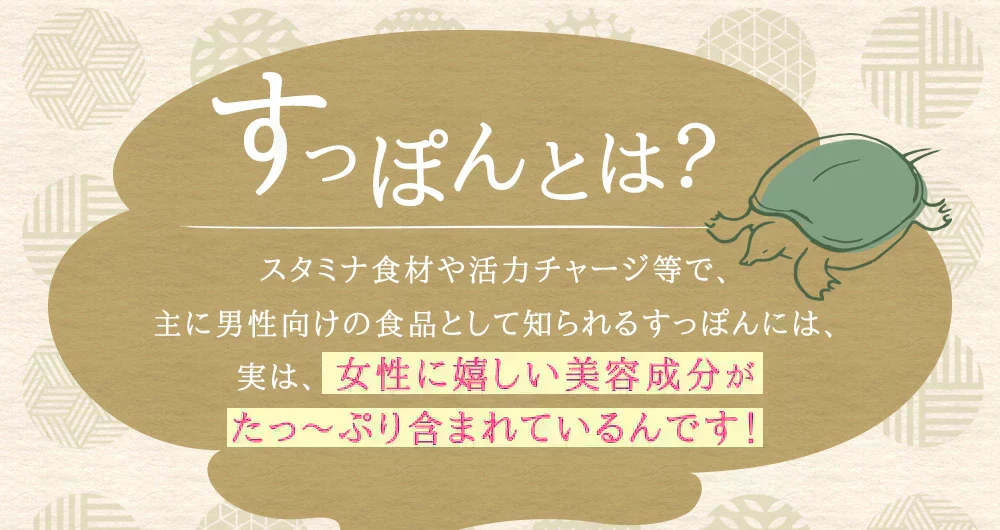 すっぽんもろみ酢《約3ヶ月分》健康 サプリメント サプリ すっぽん もろみ酢 コラーゲン ビタミンb リノール酸 オレイン酸 リノレン酸 クエン酸 サミノ酸 必須アミノ酸 大豆ペプチド ダイエット