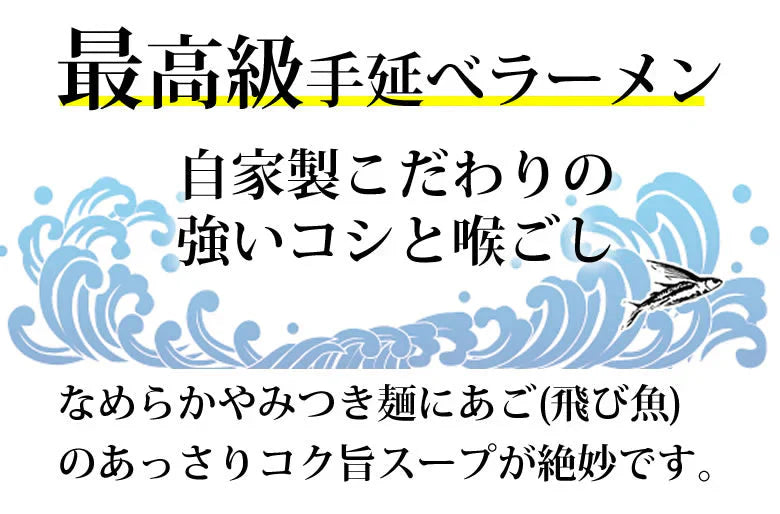 あごだしラーメン 2食セット 送料無料 お取り寄せ ラーメン あごだし 長崎県産